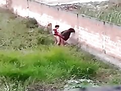 Suka daje cu na avenida brasil